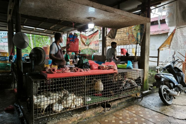 Harga Ayam Potong di Pekanbaru Tembus Rp37 Ribu per Kg, Telur Ayam Ras Rp2.500 per Butir