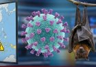 Indonesia Waspada Virus Nipah, Kenali Dan Cek Gejalanya