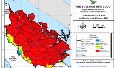 Prakiraan Cuaca Riau 27 Januari 2026, Masih Ada Hujan Intensitas Ringan, Ada 62 Hotspot di Bumi Lancang Kuning