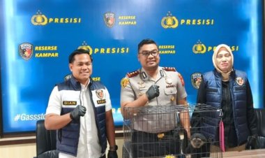 DE Warga Desa Salo Jual Seekor Owa Ungko Primata Langka, Polres Kampar Ringkus Pelaku di Bangkinang