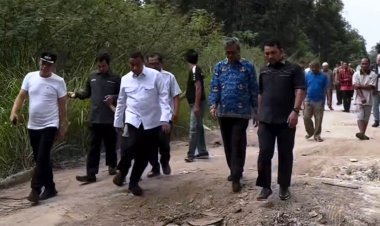Wawako Tinjau Kerusakan Infrastruktur di Tuah Madani, Jalan Lumba-lumba segera Diperbaiki