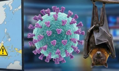 Indonesia Waspada Virus Nipah, Kenali Dan Cek Gejalanya