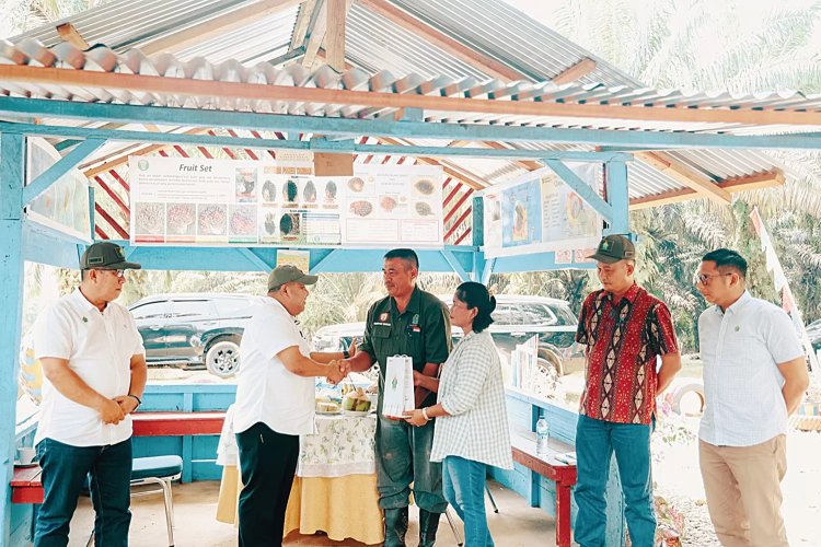 PTPN IV Regional III Bantu Sendi Water Purba Mandor I Afdeling V Kebun Terantam yang Diteror karena Jaga Aset Negara