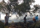 Hotspot di Riau Meningkat Jadi 160 Titik, Terbanyak di Pelalawan, Personel Gabungan Riau Terus Bertambah di Lokasi Karhutla