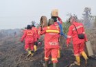 Hotspot Riau 80 Titik Panas Masih Terbanyak di Sumatra, BPBD Damkar Riau Minta Bantuan TMC dan Helikopter Water Bombing