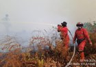 Hotspot Bengkalis Tembus 206 Titik Panas hingga 14 Februari 2026 pukul 23.00 WIB, Manggala Agni Riau Berjibaku Padamkan Karhutla