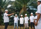 Strategi Inklusif PTPN IV Palmco, Miniatur Indonesia Perkuat Ketahanan Pangan Energi Nasional
