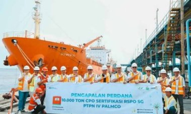 PTPN IV PalmCo Raup 10,5 Juta Dolar AS Sepanjang 2025 dari Penjualan CPO dan PKO Bersertifikasi RSPO