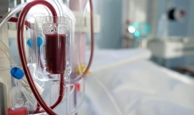 Penonaktifan 11 Juta Peserta BPJS PBI Ancam Keselamatan Pasien Cuci Darah