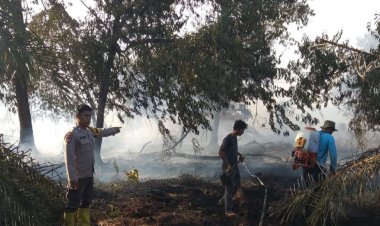 Riau Menyala 280 Titik Panas, Hotspot Terbanyak di Bengkalis, BPBD Persiapkan Penetapan Status Siaga Darurat Karhutla