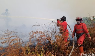 Hotspot Bengkalis Tembus 206 Titik Panas hingga 14 Februari 2026 pukul 23.00 WIB, Manggala Agni Riau Berjibaku Padamkan Karhutla