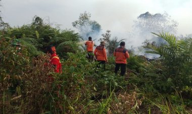 Ada 40 Titik Panas di Riau, Tim Gabungan Berjibaku Padamkan Karhutla di Pulau Mendol