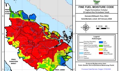 Prakiraan Cuaca Riau 28 Februari 2026, BMKG Ungkap Hanya Ada Hujan Ringan Bersifat Lokal pada Hari Ini