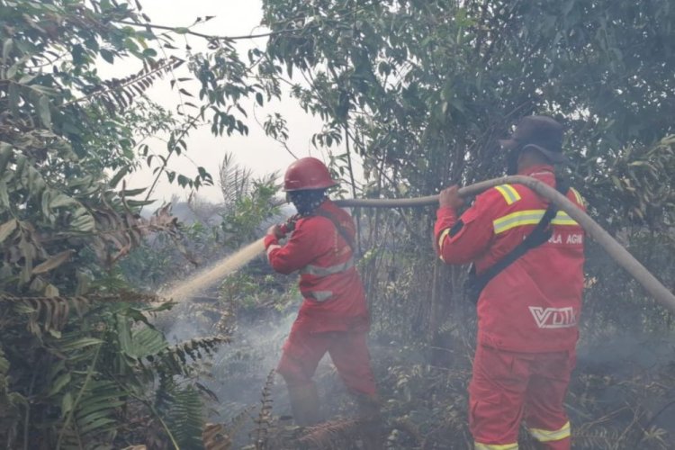 Hotspot Riau 90 Titik Panas Masih Terbanyak di Sumatra, Update 6 Februari 2026 hingga Pukul 23.00 WIB
