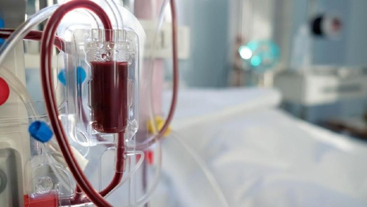 Penonaktifan 11 Juta Peserta BPJS PBI Ancam Keselamatan Pasien Cuci Darah