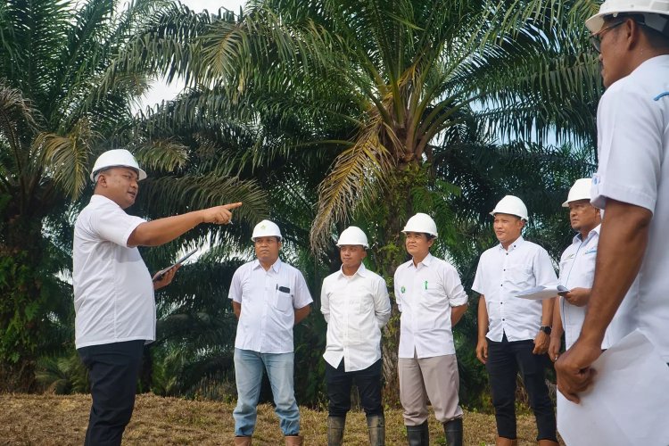 Strategi Inklusif PTPN IV Palmco, Miniatur Indonesia Perkuat Ketahanan Pangan Energi Nasional