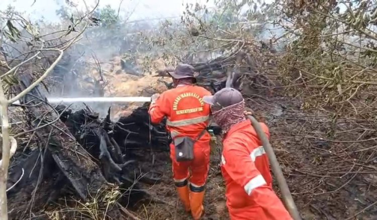 229 Titik Panas Menyala di Riau, Hotspot Terbanyak di Bengkalis, Petugas Gabungan Cegah Asap Menyeberang ke Malaysia