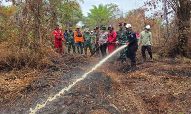 Asops Kodam XIX/Tuanku Tambusai Ikuti Patroli Udara, Tim Gabungan Padamkan Kebakaran Lahan Gambut di Pelalawan