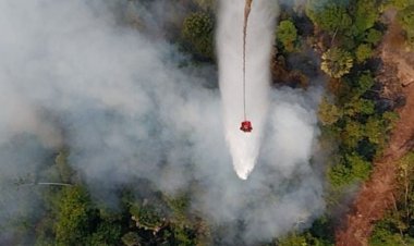 182 Titik Panas Menyala di Bengkalis, BPBD Damkar Riau Kerahkan Helikopter Water Bombing hingga Alat Berat