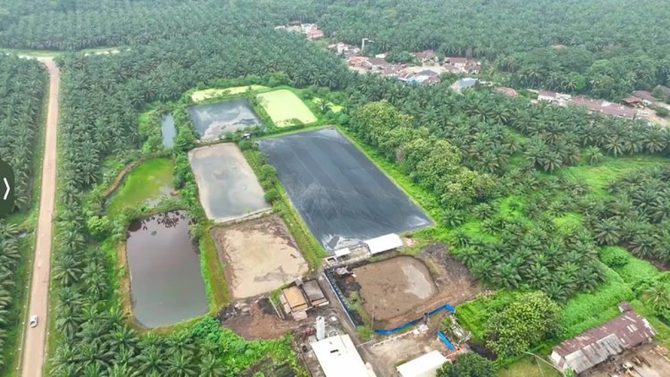 Dua PLTBg Ini Jadi Andalan PTPN IV PalmCo Tekan Biaya, Manfaatkan Limbah Cair Kelapa Sawit Jadi Sumber Energi
