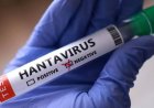 Waspada Hantavirus, Kemenkes Terapkan Skrining Gejala untuk Pelaku Perjalanan LN