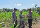 Kapolsek Ujungbatu Berikan Bantuan Racun Hama kepada Petani Jagung di Desa Ngaso