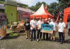 Telkomsel Salurkan Hewan Kurban Iduladha 1447 H, Perluas Manfaat bagi Masyarakat Melalui Semangat Kebersamaan