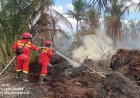 Hari Raya Iduladha 1447 H, Tim Manggala Agni Berjibaku Padamkan Karhutla di Rohil dan Siak