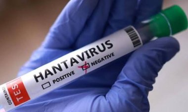 Waspada Hantavirus, Kemenkes Terapkan Skrining Gejala untuk Pelaku Perjalanan LN