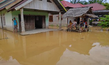 526 Rumah di Kabupaten Kuansing Terdampak Banjir, Sungai Kuantan Meluap