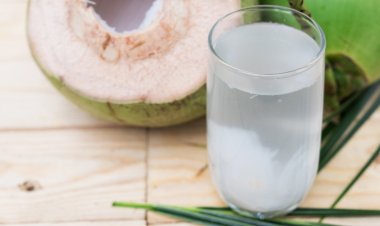 Air Kelapa Murni Bisa Redakan Asam Lambung/GERD, Mitos atau Fakta?