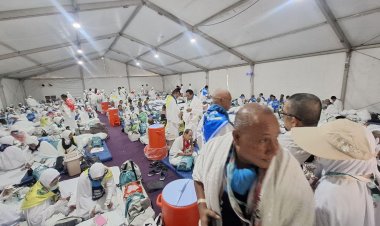 Jemaah Haji Indonesia Wukuf di Arafah Hari Ini, Kemenhaj Tempatkan 657 Petugas di Berbagai Titik Layanan