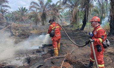 Tim Gabungan Masih Padamkan Karhutla di Riau, Bara Api Sering Tersembunyi di Bawah Tanah