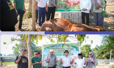 Sapi Kurban 829 Kg dari Presiden Prabowo Disembelih di Inuman, Bupati Kuansing: Berkah untuk Warga dan Santri
