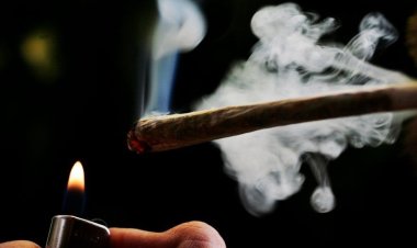 Tak Hisap Ganja tapi Positif Narkoba, Dokter Paru Ungkap Penyebabnya
