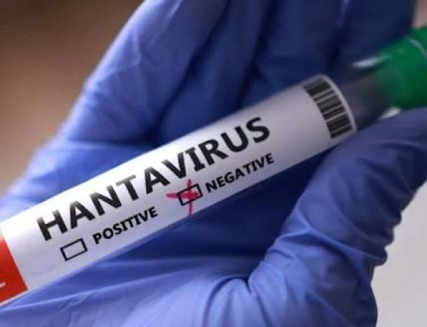 Waspada Hantavirus, Kemenkes Terapkan Skrining Gejala untuk Pelaku Perjalanan LN