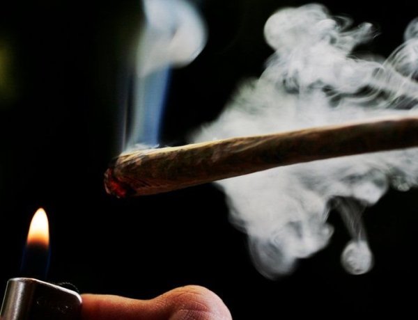 Tak Hisap Ganja tapi Positif Narkoba, Dokter Paru Ungkap Penyebabnya