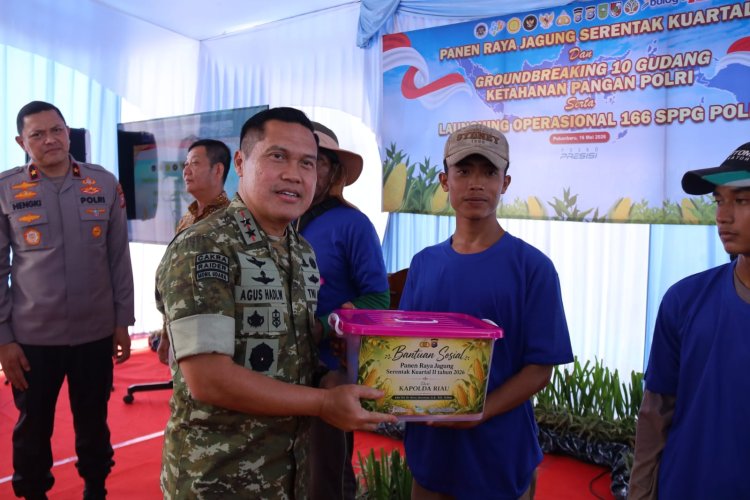 Hadiri Panen Jagung Serentak di Pekanbaru, Pangdam XIX Tuanku Tambusai: Ketahanan Pangan Bagian Penting dari Ketahanan Negara