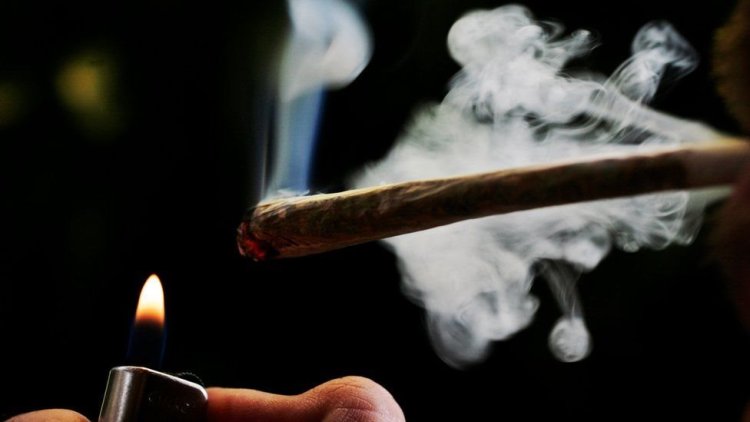 Tak Hisap Ganja tapi Positif Narkoba, Dokter Paru Ungkap Penyebabnya
