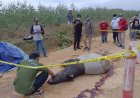 Seekor Tapir Jantan Ditemukan Mati di Jalan Koridor RAPP Estate Baserah Kuasing, Diduga Dihantam Truk