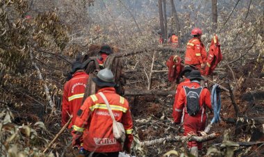 18 Titik Panas Menyala di Riau, Manggala Agni Taklukkan Karhutla di Tanjung Kapal Rupat Bengkalis