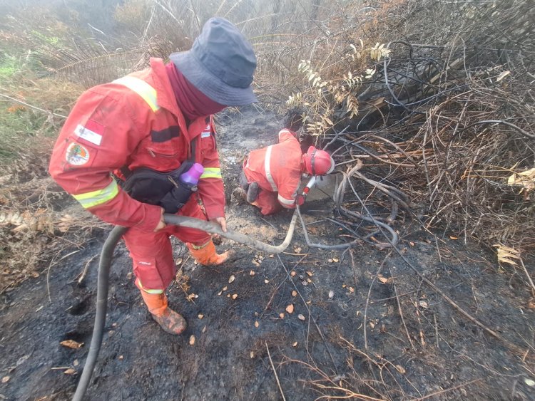 11 Titik Panas Menyala di Riau, Tim Manggala Agni Bergerak Padamkan Karhutla di Pulau Rupat