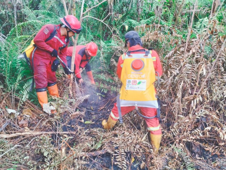 60 Titik Panas Menyala di Riau, Satgas Karhutla Kepung Api di Rohil dan Bengkalis