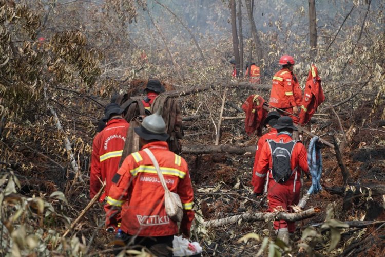 18 Titik Panas Menyala di Riau, Manggala Agni Taklukkan Karhutla di Tanjung Kapal Rupat Bengkalis