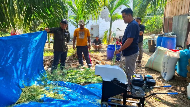 Pemuda Adat Suku Bonai Perkuat Kapasitas Peternakan Melalui Program Semarak Riau PHR