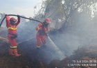28 Titik Panas Menyala di Riau, Manggala Agni Lanjutkan Padamkan Karhutla di Bangko Rohil Hari Ini