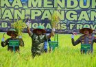 Kodam XIX Tuanku Tambusai Dukung Swasembada Pangan, Panen Raya Bengkalis Perkuat Sinergi TNI dan Masyarakat