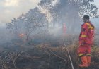 43 Titik Panas Menyala di Riau, Tim Manggala Agni Menginap Dekat Lokasi Karhutla Desa Pematang Pudu Bengkalis