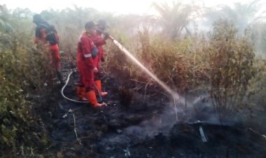 14 Titik Panas Menyala di Riau, 1 Hektare Gambut Terbakar di Air Hitam Pekanbaru, Manggala Agni Ingatkan Jangan Bakar Lahan