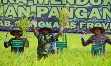 Kodam XIX Tuanku Tambusai Dukung Swasembada Pangan, Panen Raya Bengkalis Perkuat Sinergi TNI dan Masyarakat